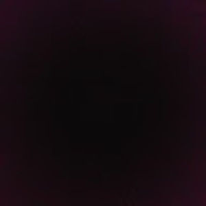 Meet your Posher, Lucely celeste